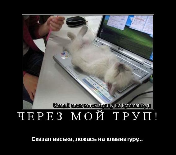 Котоматрица: ЧЕРЕЗ МОЙ ТРУП! Сказал васька, ложась на клавиатуру... 