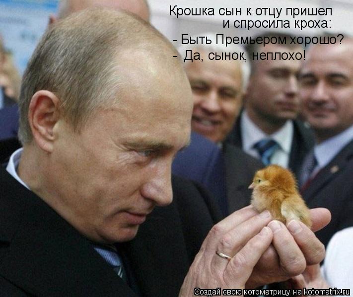Котоматрица: Крошка сын к отцу пришел и спросила кроха:  - Быть Премьером хорошо? -  Да, сынок, неплохо!