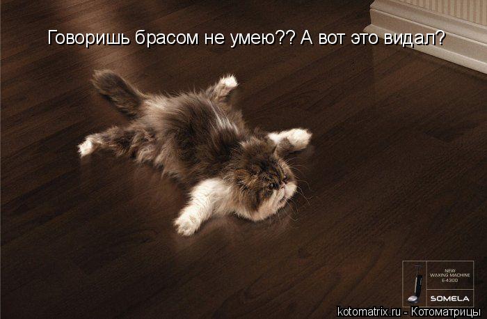 Котоматрица: Говоришь брасом не умею?? А вот это видал?