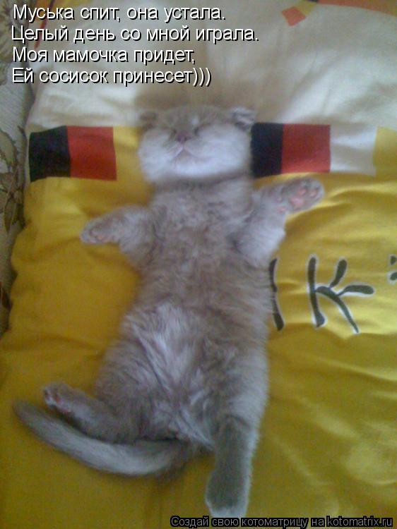 Котоматрица: Муська спит, она устала. Целый день со мной играла. Моя мамочка придет, Ей сосисок принесет)))