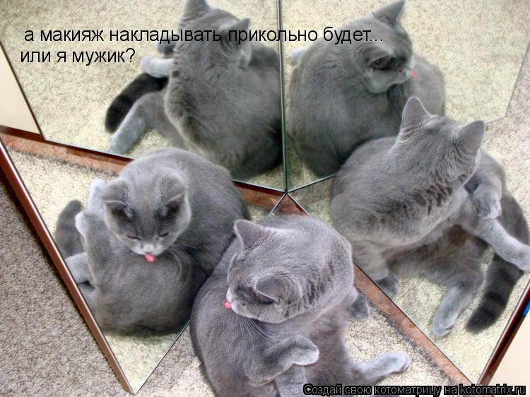 Котоматрица: а макияж накладывать прикольно будет... или я мужик?