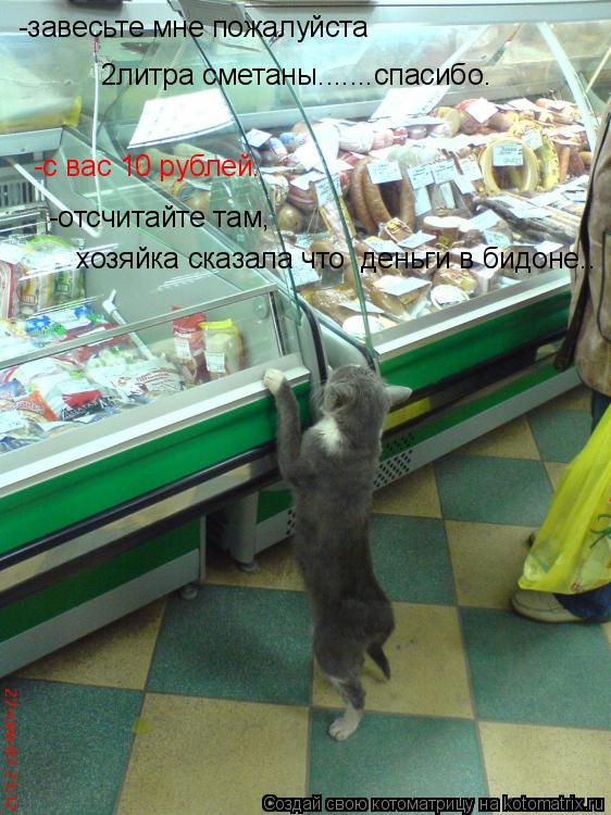 Котоматрица: -завесьте мне пожалуйста  -с вас 10 рублей. -отсчитайте там, 2литра сметаны.......спасибо. хозяйка сказала что  деньги в бидоне..