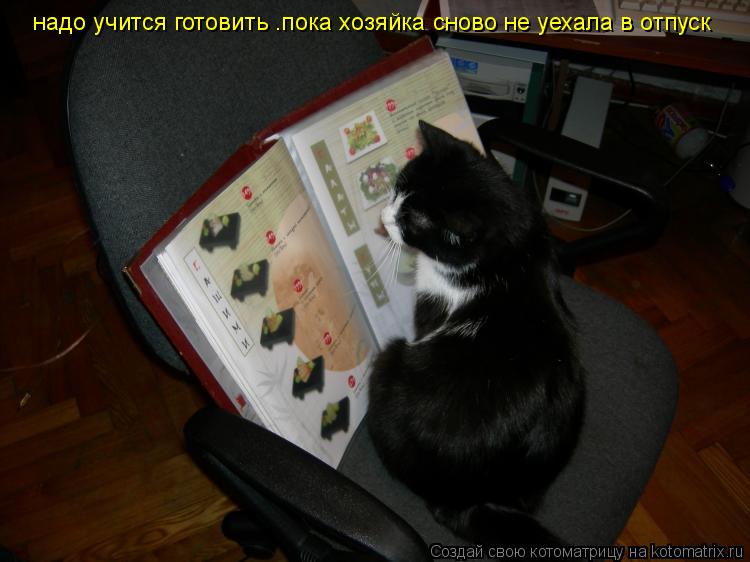 Котоматрица: надо учится готовить .пока хозяйка сново не уехала в отпуск