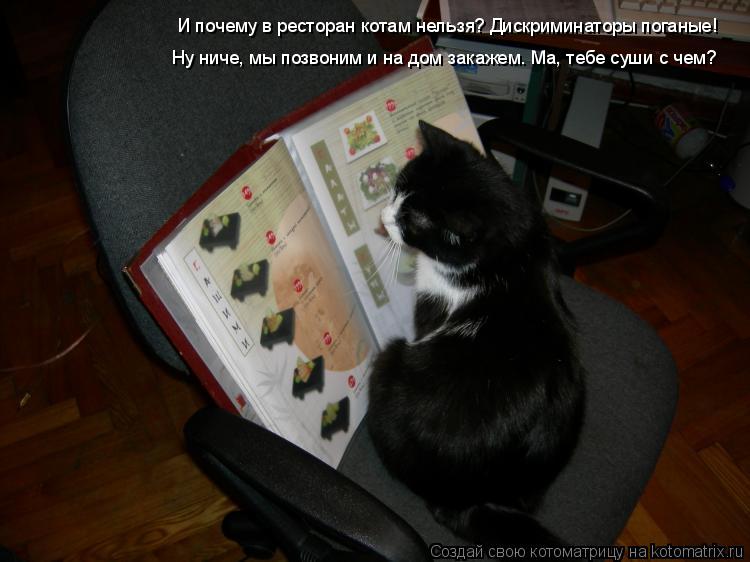 Котоматрица: И почему в ресторан котам нельзя? Дискриминаторы поганые! Ну ниче, мы позвоним и на дом закажем. Ма, тебе суши с чем?
