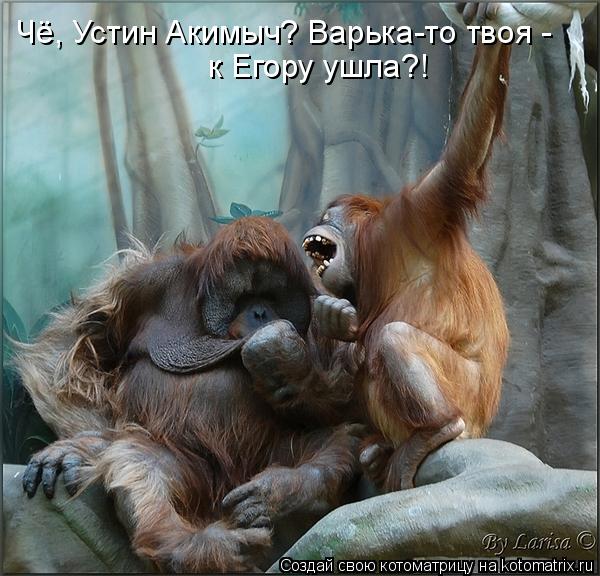 Котоматрица: Чё, Устин Акимыч? Варька-то твоя - к Егору ушла?!