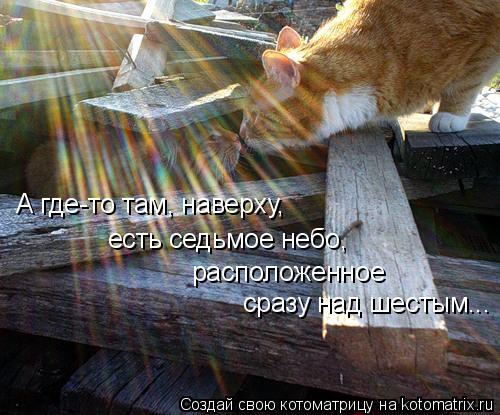 Котоматрица: А где-то там, наверху, есть седьмое небо, расположенное сразу над шестым...
