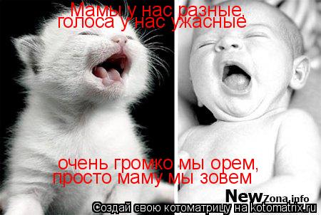 Котоматрица: Мамы у нас разные, голоса у нас ужасные очень громко мы орем, просто маму мы зовем