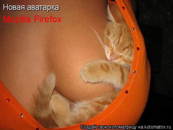 Котоматрица: Новая аватарка  Mozilla Firefox