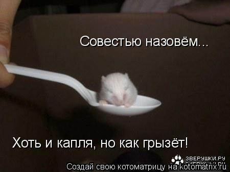 Котоматрица: Совестью назовём... Хоть и капля, но как грызёт!