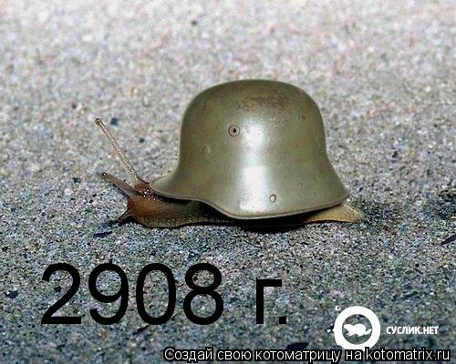 Котоматрица: 2908 г.