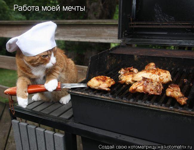 Работа моей мечты... Котоматрица: Работа моей мечты