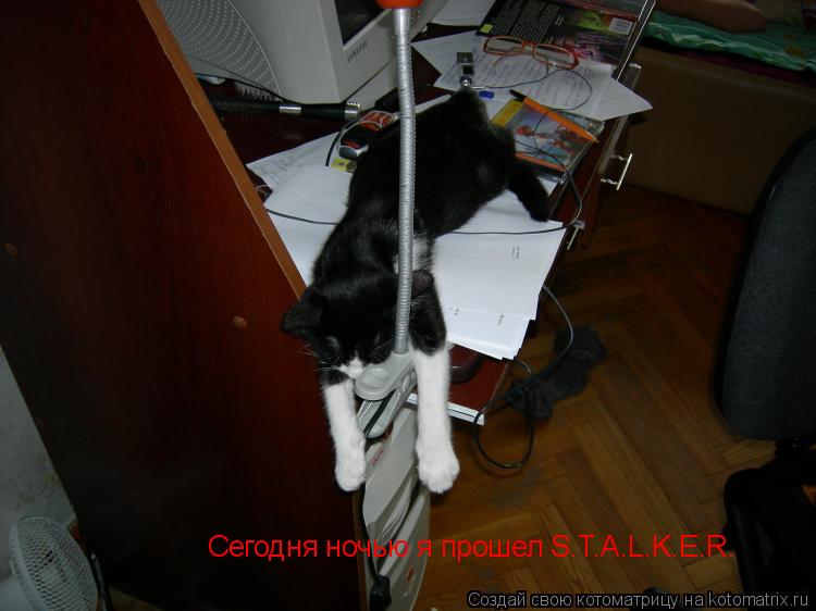 Сегодня ночью я прошел S.T.A.L.K.E.R.... Котоматрица: Сегодня ночью я прошел S.T.A.L.K.E.R.