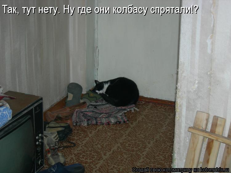 Так, тут нету. Ну где они колбасу спрятали!?... Котоматрица: Так, тут нету. Ну где они колбасу спрятали!?