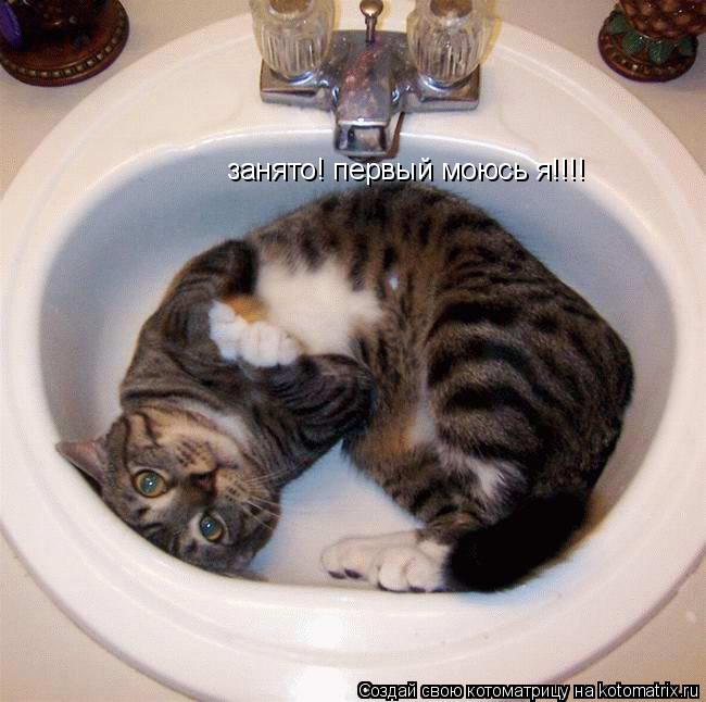 Котоматрица: занято! первый моюсь я!!!!