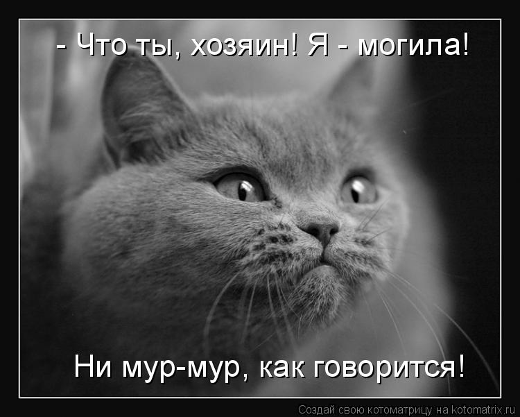 - Что ты, хозяин! Я - могила! Ни мур-мур, как говорится!... Котоматрица: - Что ты, хозяин! Я - могила! Ни мур-мур, как говорится!