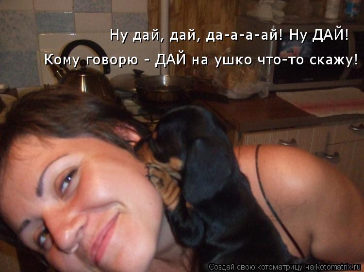 Котоматрица: Ну дай, дай, да-а-а-ай! Ну ДАЙ на ушко что что-то скажу! Ну дай, дай, да-а-а-ай! Ну ДАЙ! Кому говорю - ДАЙ на ушко что-то скажу!