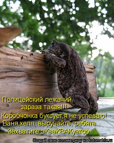 Коробчонка буксует,я не успеваю! Ваня,хелп, выручайте, ребята. Захватите эКваКВАКуатор. Полицейски... Котоматрица: Коробчонка буксует,я не успеваю! Ваня,хелп, выручайте, ребята. Захватите эКваКВАКуатор. Полицейский лежачий, зараза такая!!!