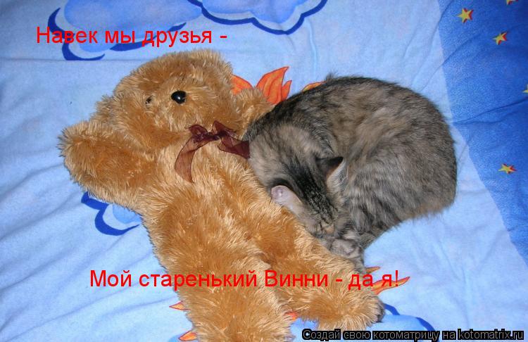 Котоматрица: Навек мы друзья -  Мой старенький Винни - да я!