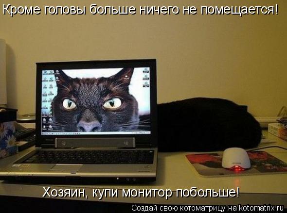 Котоматрица: Кроме головы больше ничего не помещается! Хозяин, купи монитор побольше!
