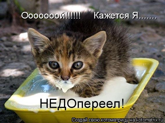 Котоматрица: Ооооооой!!!!!!     Кажется Я....... НЕДОпереел!