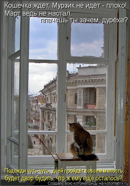 Кошечка ждёт, Мурзик не идёт - плохо! Март ведь не настал, плачешь ты зачем, дурёха? Подожди чуть-чут... Котоматрица: Кошечка ждёт, Мурзик не идёт - плохо! Март ведь не настал, плачешь ты зачем, дурёха? Подожди чуть-чуть, дней пройдёт совсем малость, будет двор