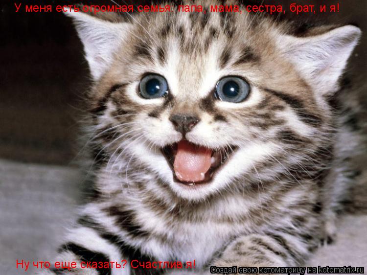 У меня есть огромная семья: У меня есть огромная семья: папа, мама, сестра, брат, и я! Ну что еще ска... Котоматрица: У меня есть огромная семья: У меня есть огромная семья: папа, мама, сестра, брат, и я! Ну что еще сказать? Счастлив я!