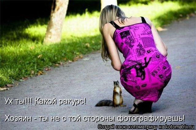 Ух ты!!! Какой ракурс! Хозяин - ты не с той стороны фотографируешь!... Котоматрица: Ух ты!!! Какой ракурс! Хозяин - ты не с той стороны фотографируешь!