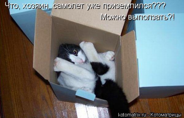 Что, хозяин, самолет уже приземлился??? Можно выползать?!... Котоматрица: Что, хозяин, самолет уже приземлился??? Можно выползать?!
