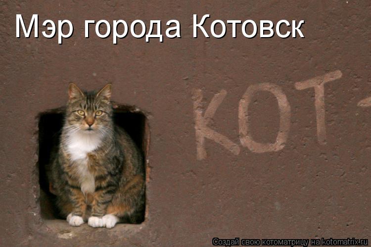 Мэр города Котовск... Котоматрица: Мэр города Котовск
