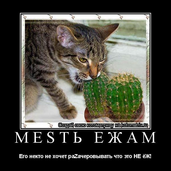 Котоматрица: МеSть Ежам Его некто не хочет раZачеровывать что это НЕ ёЖ!