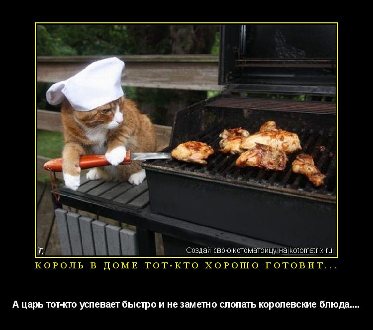 Котоматрица: Король в доме тот-кто хорошо готовит... А царь тот-кто успевает быстро и не заметно слопать королевские блюда....