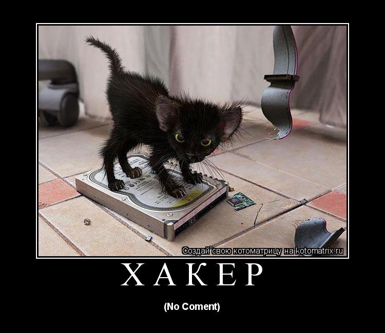 Котоматрица: Хакер (No Coment)