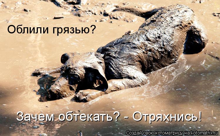 Облили грязью? Зачем обтекать? - Отряхнись!... Котоматрица: Облили грязью? Зачем обтекать? - Отряхнись!