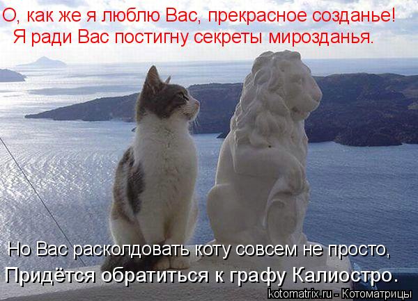 О, как же я люблю Вас, прекрасное созданье! Я ради Вас постигну секреты мирозданья. Но Вас расколдов... Котоматрица: О, как же я люблю Вас, прекрасное созданье! Я ради Вас постигну секреты мирозданья. Но Вас расколдовать коту совсем не просто, Придётся обра