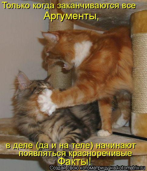 в деле (да и на теле) начинают появляться красноречивые Факты! Только когда заканчиваются все Аргум... Котоматрица: в деле (да и на теле) начинают появляться красноречивые Факты! Только когда заканчиваются все Аргументы,