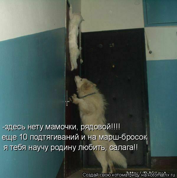 -здесь нету мамочки, рядовой!!!! еще 10 подтягиваний и на марш-бросок я тебя научу родину любить, сал... Котоматрица: -здесь нету мамочки, рядовой!!!! еще 10 подтягиваний и на марш-бросок я тебя научу родину любить, салага!!