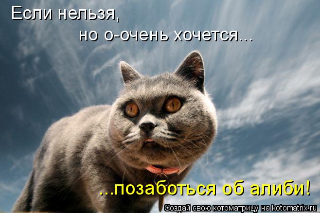 ...позаботься об алиби! Если нельзя, но о-очень хочется...... Котоматрица: ...позаботься об алиби! Если нельзя, но о-очень хочется...