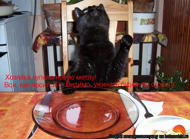 Хозяйка купила новую метлу! Вон, как носится!!! Видимо, ужинать будем не скоро(((... Котоматрица: Хозяйка купила новую метлу! Вон, как носится!!! Видимо, ужинать будем не скоро(((