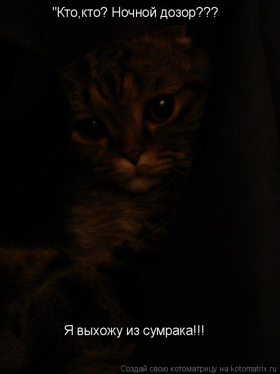 "Кто,кто? Ночной дозор??? Я выхожу из сумрака!!!... Котоматрица: "Кто,кто? Ночной дозор??? Я выхожу из сумрака!!!
