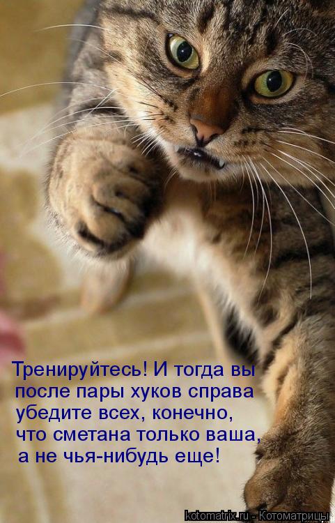 Котоматрица: Тренируйтесь! И тогда вы после пары хуков справа убедите всех, конечно, что сметана только ваша, а не чья-нибудь еще!