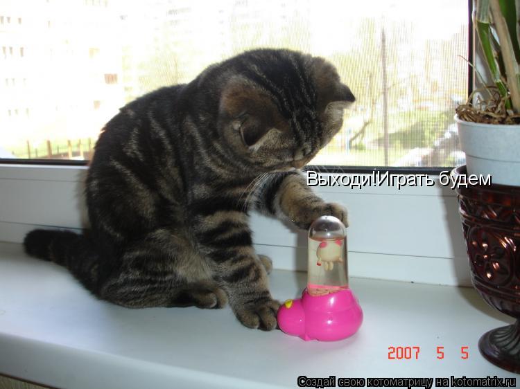 Выходи!Играть будем... Котоматрица: Выходи!Играть будем
