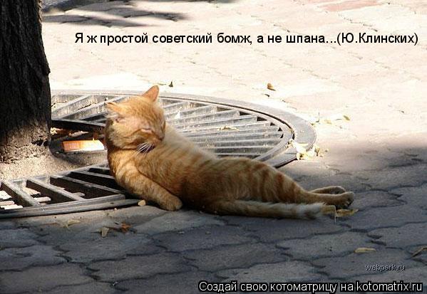 Я ж простой советский бомж, а не шпана...(Ю.Клинских)... Котоматрица: Я ж простой советский бомж, а не шпана...(Ю.Клинских)