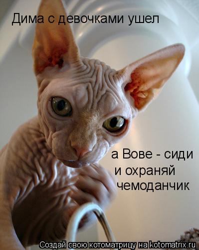 Дима с девочками ушел а Вове - сиди и охраняй чемоданчик... Котоматрица: Дима с девочками ушел а Вове - сиди и охраняй чемоданчик