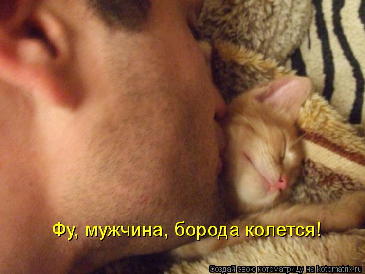 Котоматрица: Фу, мужчина, борода колется!