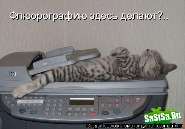 Котоматрица: Флюорографию здесь делают?..