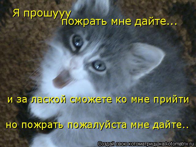 Я прошууу пожрать мне дайте... и за лаской сможете ко мне прийти но пожрать пожалуйста мне дайте..... Котоматрица: Я прошууу пожрать мне дайте... и за лаской сможете ко мне прийти но пожрать пожалуйста мне дайте..
