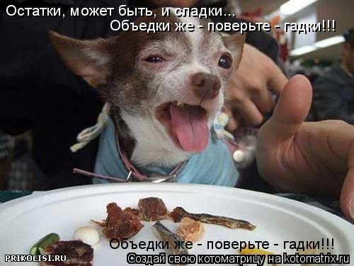 Остатки, может быть, и сладки... Объедки же - поверьте - гадки!!! Объедки же - поверьте - гадки!!!... Котоматрица: Остатки, может быть, и сладки... Объедки же - поверьте - гадки!!! Объедки же - поверьте - гадки!!!