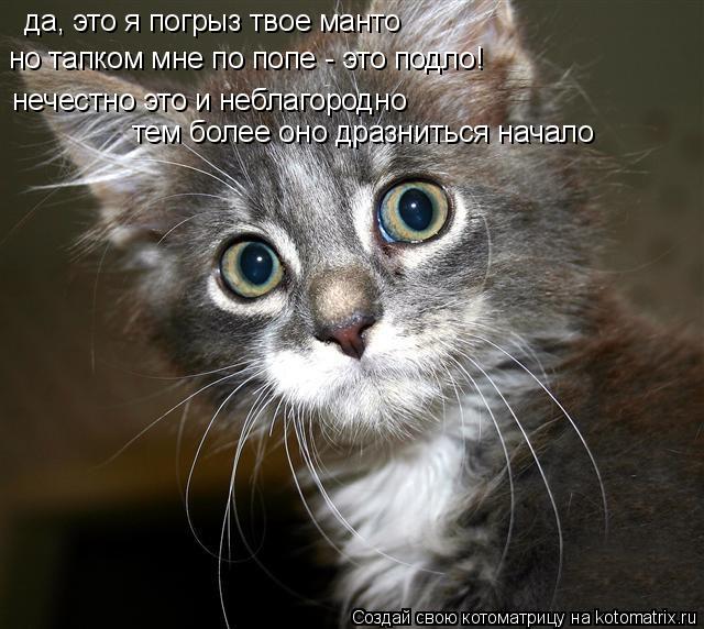 да, это я погрыз твое манто но тапком мне по попе - это подло! нечестно это и неблагородно тем более ... Котоматрица: да, это я погрыз твое манто но тапком мне по попе - это подло! нечестно это и неблагородно тем более оно дразниться начало