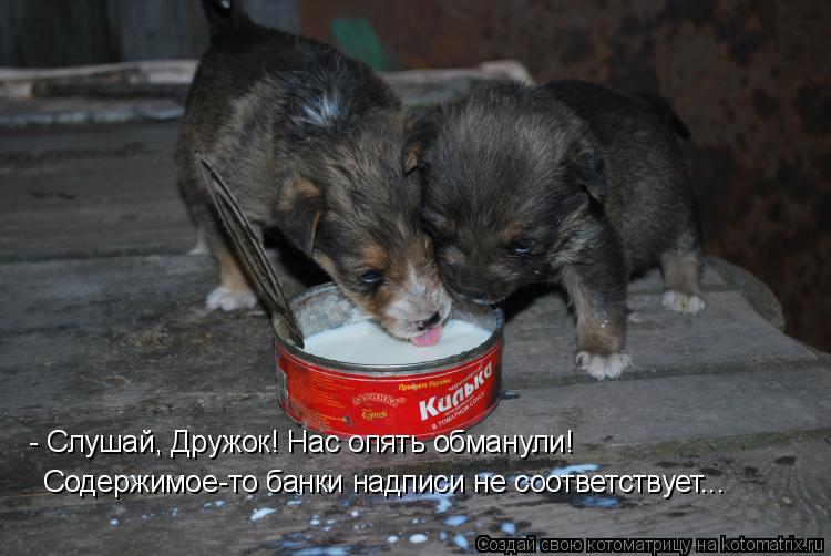 - Слушай, Дружок! Нас опять обманули! Содержимое-то банки надписи не соответствует...... Котоматрица: - Слушай, Дружок! Нас опять обманули! Содержимое-то банки надписи не соответствует...