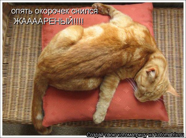 Котоматрица: опять окорочек снился  ЖААААРЕНЫЙ!!!!